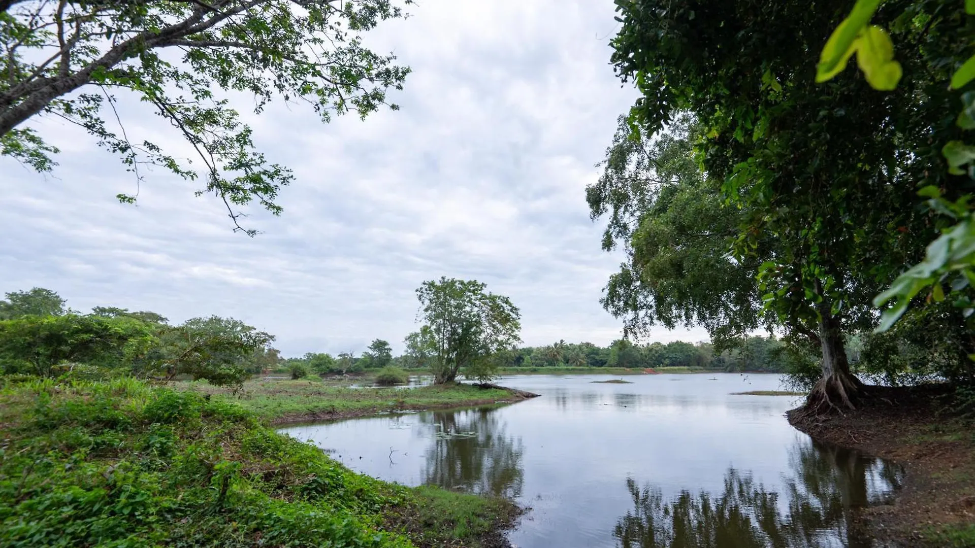 Ayurvedic Lanka Wellness Hotel Moragaswewa Inn