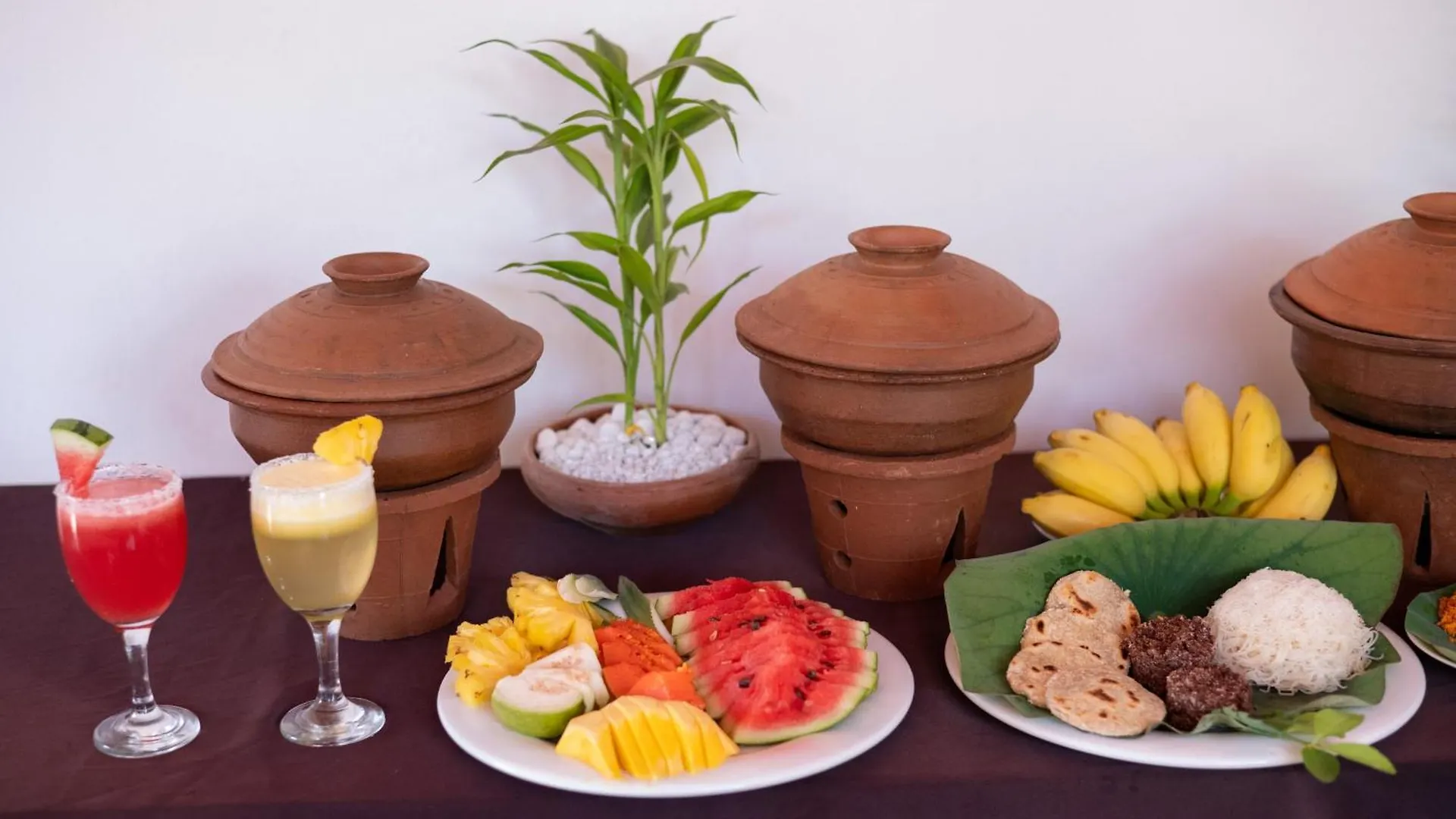 Inn Ayurvedic Lanka Wellness Hotel Moragaswewa Sri Lanka