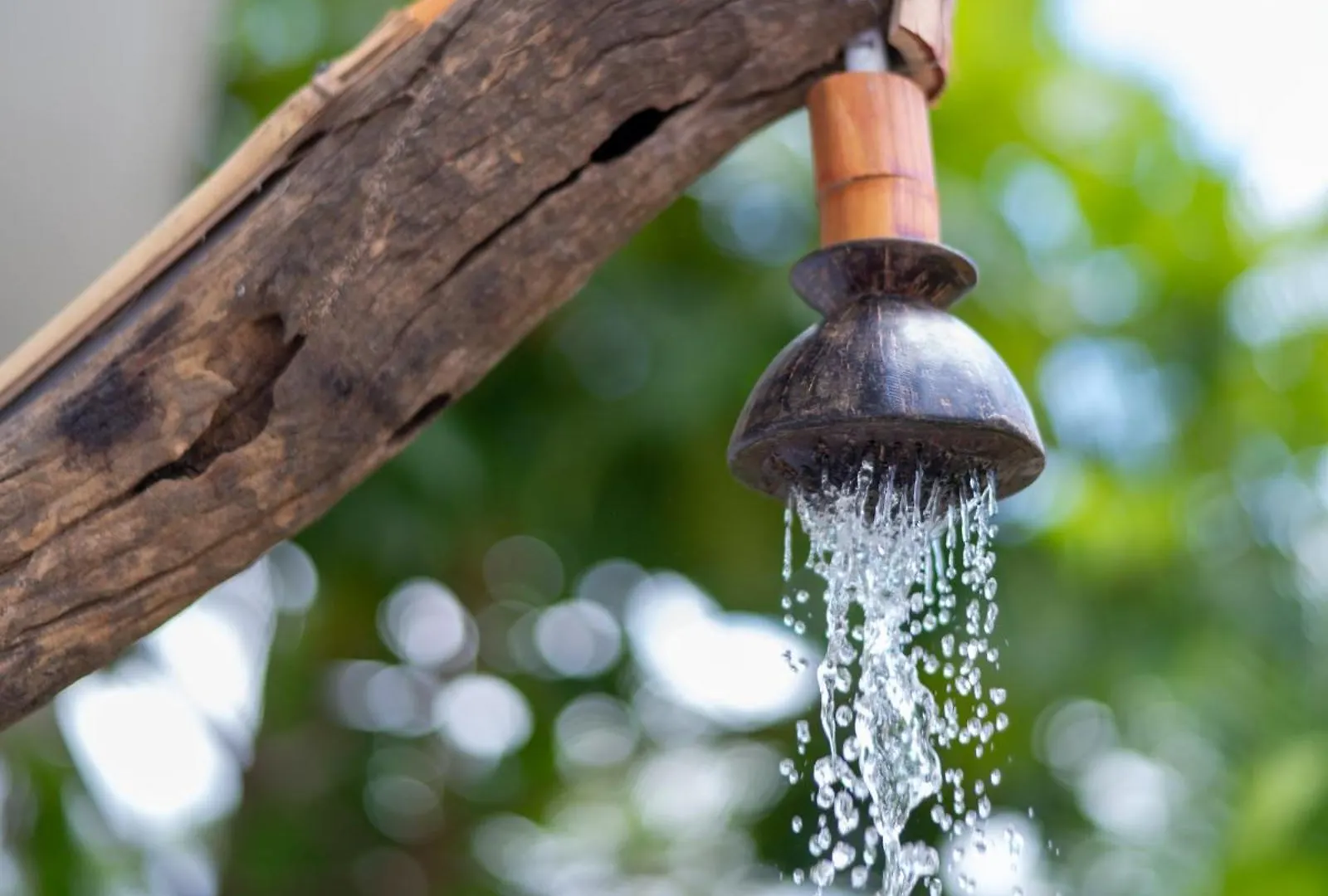 Ayurvedic Lanka Wellness Hotel Moragaswewa 0*,